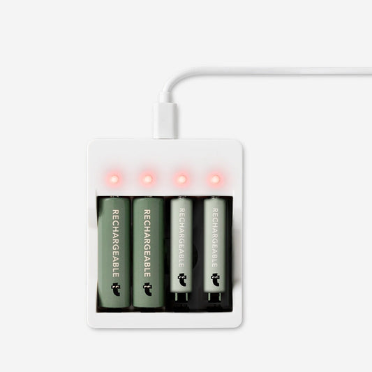 Chargeur de batterie. Avec des batteries rechargeables