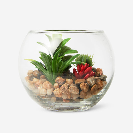 Planta decorativa